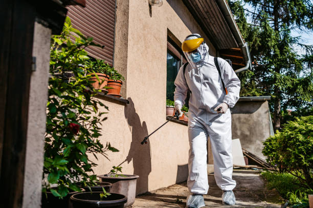 Best Wasp Removal Services  in Crowley, TX