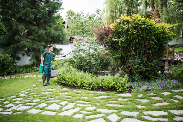 Best Wasp Removal Services  in Crowley, TX
