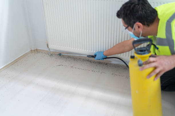 Best Best Pest Control Companies  in Crowley, TX